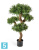 Подокарпус горный Элит искусственный TREEZ Collection 110h