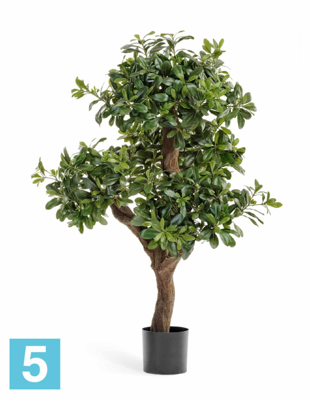 Питтоспорум искусственный TREEZ Collection горный 120h