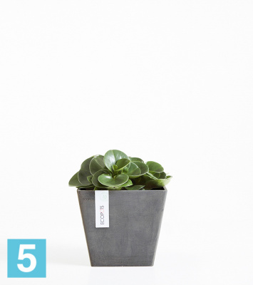 Кашпо с автополивом Ecopots Rotterdam, антрацит 20-l, 20-w, 18-h