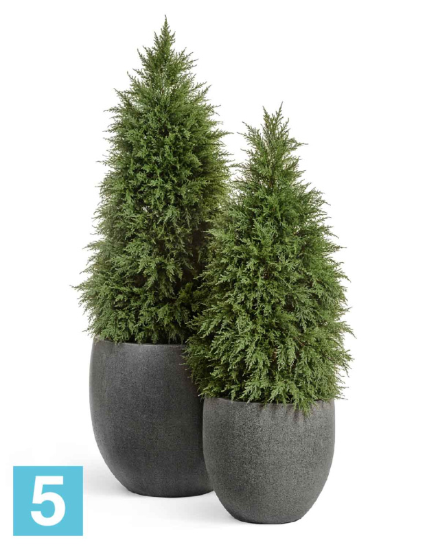 Кипарис Тауэр Элегант искусственный TREEZ Collection уличный 150h
