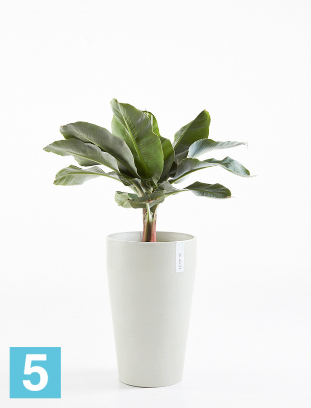 Высокое кашпо Ecopots Sankara-MH, светло-серое 35-d, 55-h