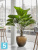 Кашпо Gradient, шар, матовое медовое d-70 h-68 см Кашпо Gradient, шар, матовое медовое d-70 h-68 см