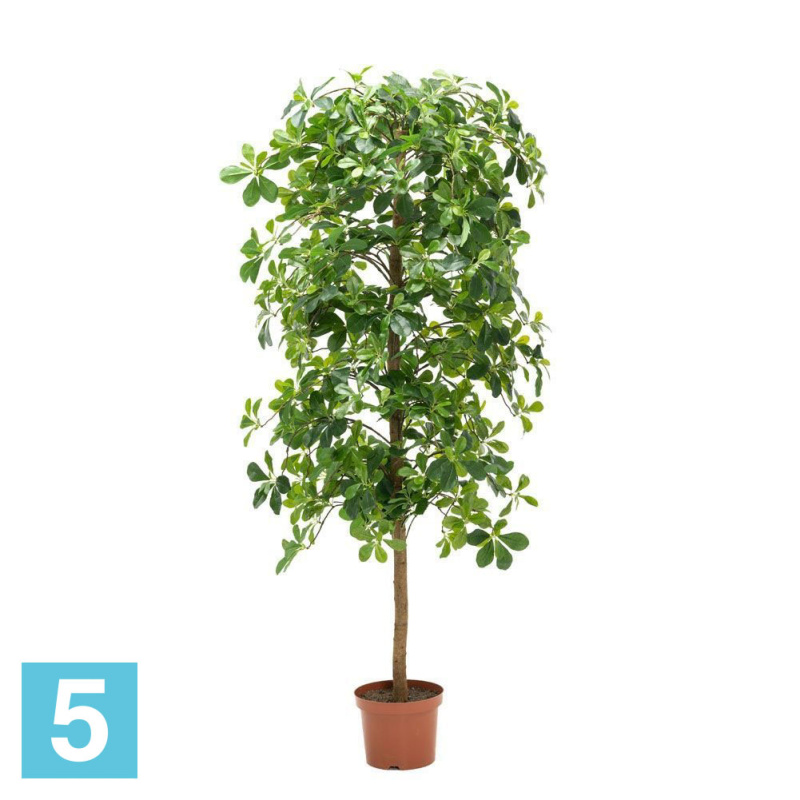 Шеффлера искусственная Alseed, h-150 см., латекс, пышная