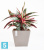 Кашпо с автополивом Ecopots Rotterdam, серо-коричневое 30-l, 30-w, 26-h