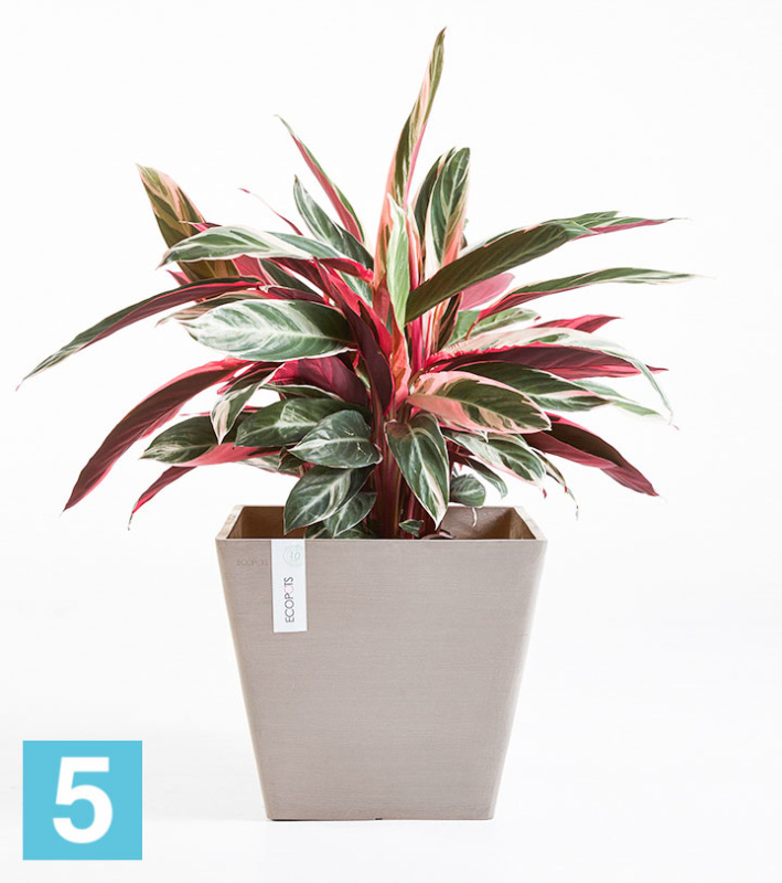 Кашпо с автополивом Ecopots Rotterdam, серо-коричневое 30-l, 30-w, 26-h