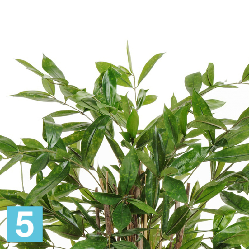 Драцена искусственная TREEZ Collection Саркула Спотти 120h