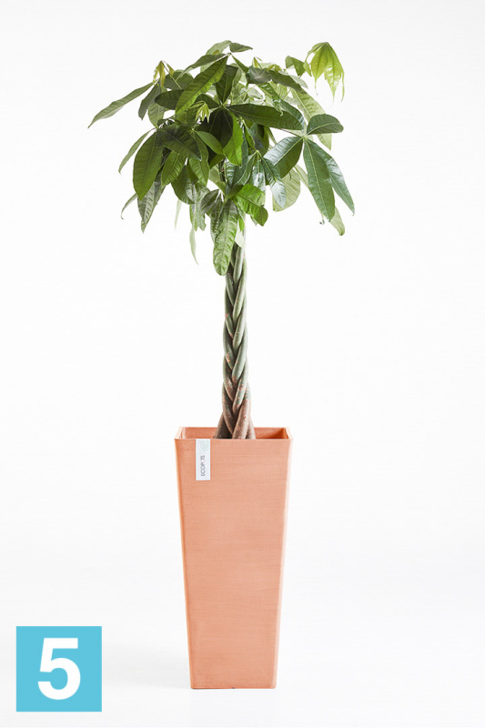 Высокое кашпо Ecopots Rotterdam-H, терракотовое 32-l, 32-w, 70-h