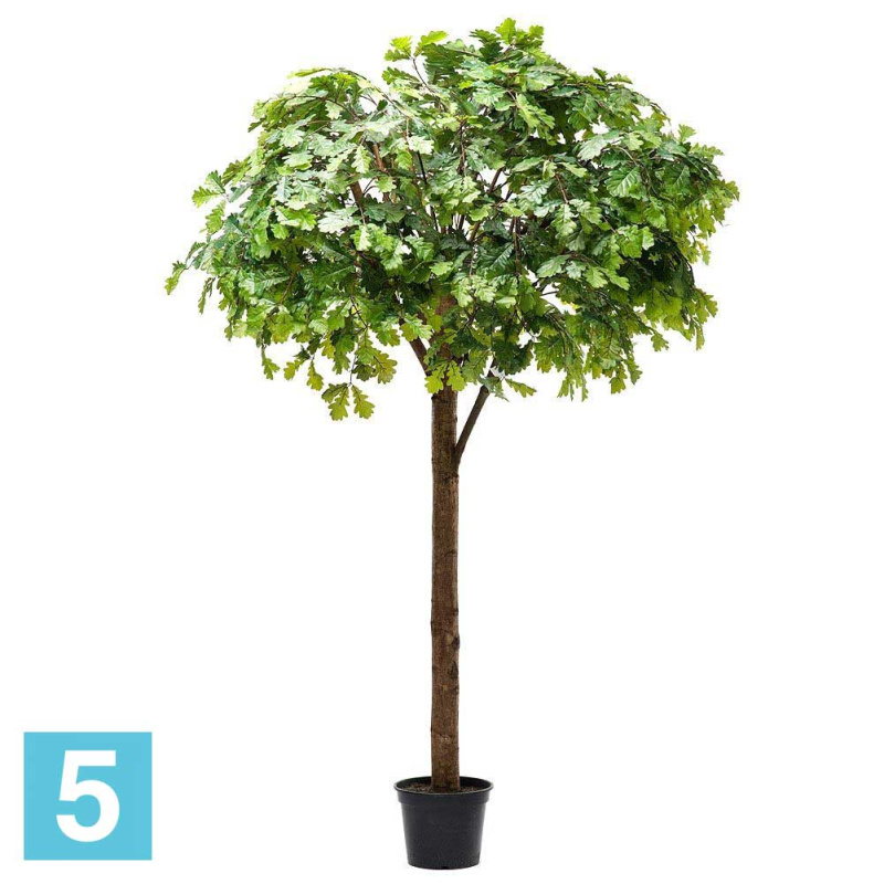 Дуб искусственный Alseed, h-250 см., латекс