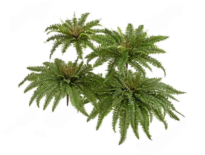 Искусственный Папоротник Бостон Новый натуральный зеленый TREEZ Collection 65-d, 30-h