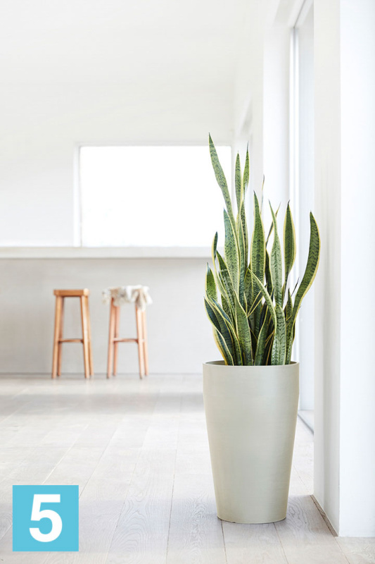Высокое кашпо Ecopots Sankara-MH, светло-серое 35-d, 55-h