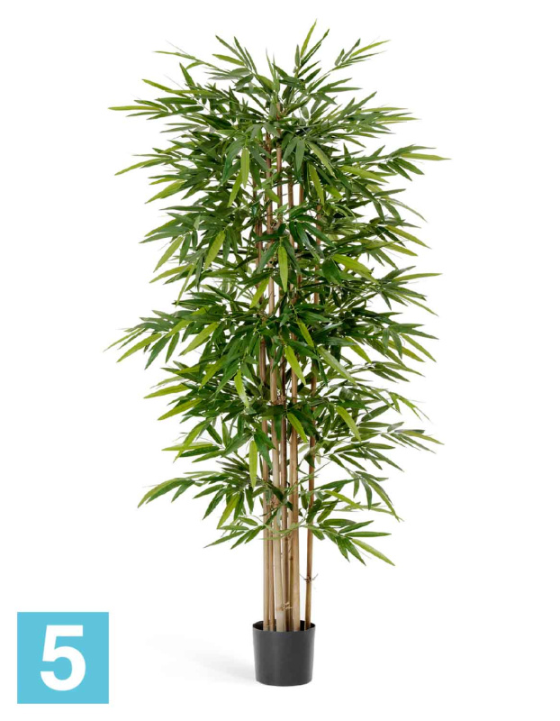 Бамбук Новый искусственный TREEZ Collection 270h