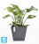 Напольное кашпо Ecopots Rotterdam, антрацит 50-l, 50-w, 44-h