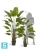 Искуственная стрелиция Traveller (Sensitive Botanic) TREEZ Collection 180h