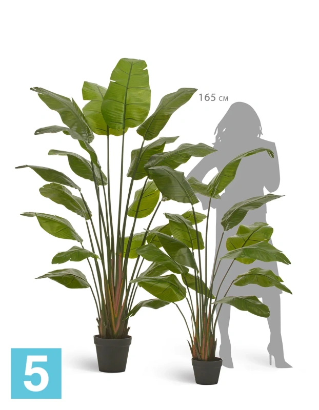 Искуственная стрелиция Traveller (Sensitive Botanic) TREEZ Collection 180h