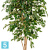 Фикус искусственный TREEZ Collection Бенджамина Нитида 180h