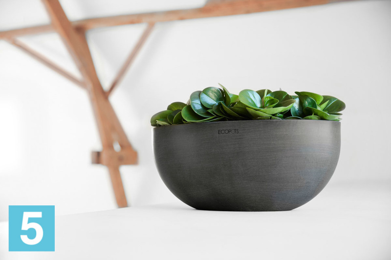 Напольное кашпо Ecopots Sofia Big, антрацит 43-l, 25-w, 17,5-h