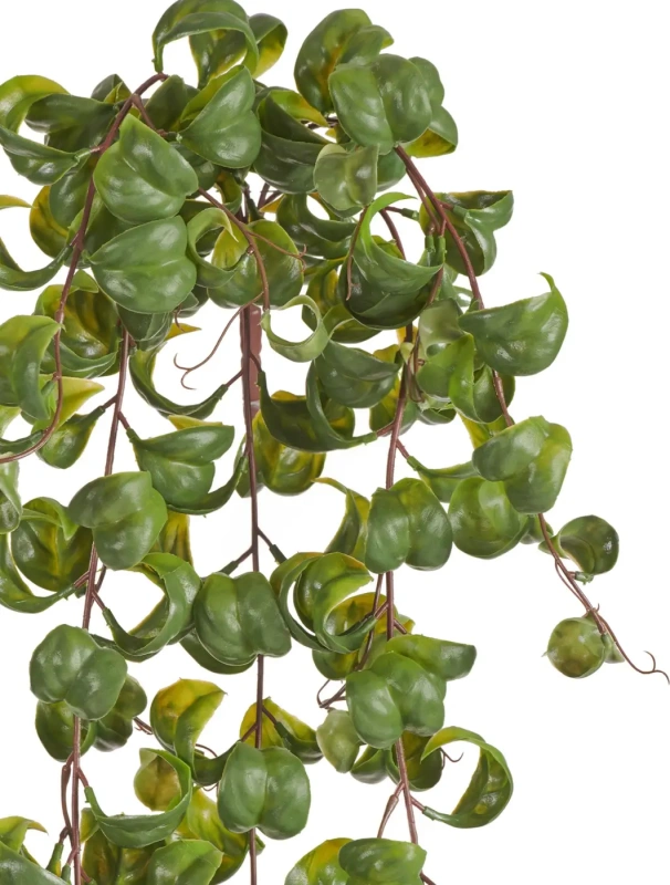 Фикус искусственный TREEZ Collection Бенджамина Барок ампельный 60h