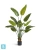 Искуственная стрелиция New Style с UV-защитой (Sensitive Botanic) TREEZ Collection 160h