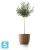 Кашпо Prosperplast RYFO ECO Wood, белое 19,5-d, 17-h