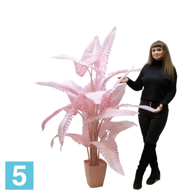 Каладиум куст розовый искусственный Alseed, h-170 см., плотный силикон