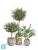 Кашпо TREEZ Effectory Savage Garden Design-ваза Capri, бело-сине-жёлтое 26-d, 43-h Кашпо TREEZ Effectory Savage Garden Design-ваза Capri, бело-сине-жёлтое 26-d, 43-h