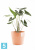 Напольное кашпо Ecopots Sankara, терракотовое 40-d, 35-h