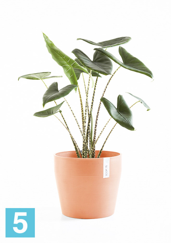 Напольное кашпо Ecopots Sankara, терракотовое 40-d, 35-h