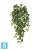 Искусственный Английский плющ Новый 70h TREEZ Collection
