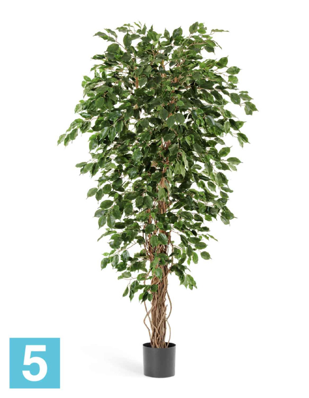 Фикус искусственный TREEZ Collection Бенджамина Лиана 150h