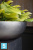 Напольное кашпо Fleur ami Royal Bowl 42-d, 14-h, серое