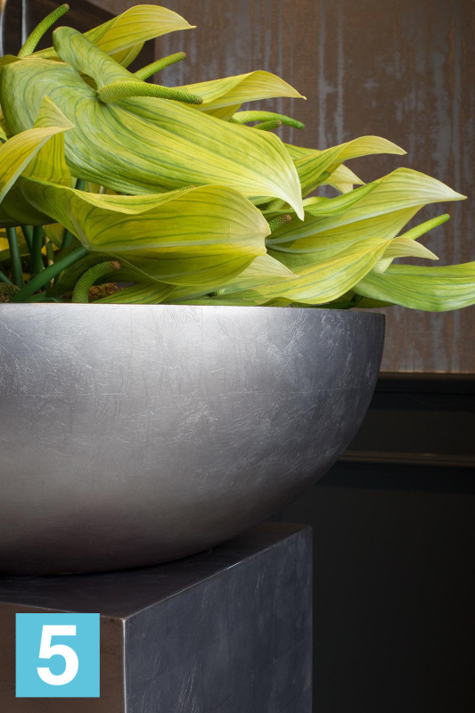 Напольное кашпо Fleur ami Royal Bowl 42-d, 14-h, серое