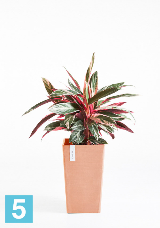 Высокое кашпо Ecopots Rotterdam-MH, терракотовое 30-l, 30-w, 50-h