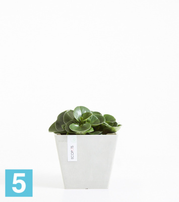 Кашпо с автополивом Ecopots Rotterdam, светло-серое 20-l, 20-w, 18-h