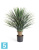 Юкка Рострата куст искусственная TREEZ Collection 85h