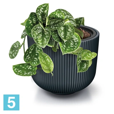 Кашпо Prosperplast MILLY круглое, серое 46,9-d, 38,5-h
