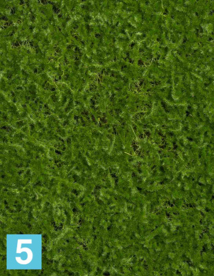 Искусственный мох Сфагнум (полотно) большое 90х100 см TREEZ Collection в #REGION_NAME_DECLINE_PP#