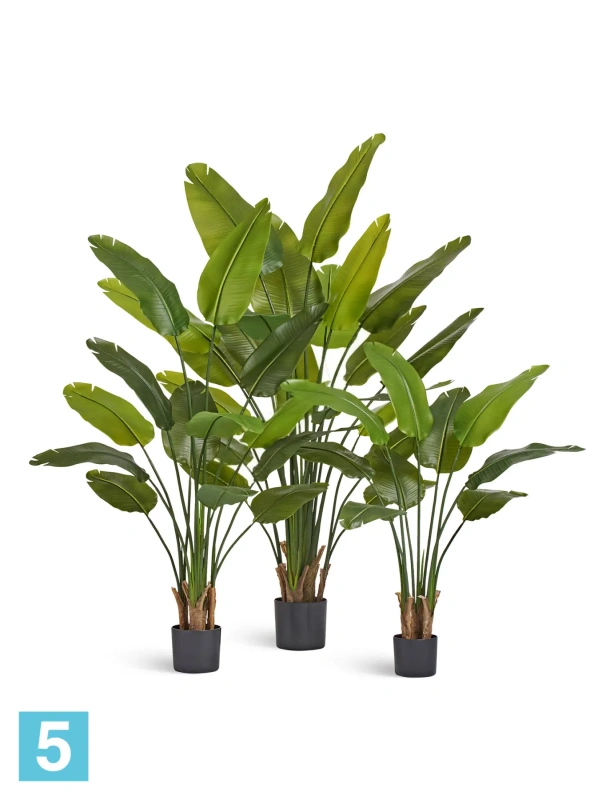 Искуственная стрелиция New Style (Sensitive Botanic) TREEZ Collection 110h