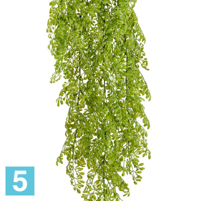 Рута Гравеоленс светло-зелёная куст ампельный искусственный TREEZ Collection 65h в #REGION_NAME_DECLINE_PP#