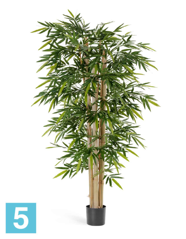 Бамбук искусственный TREEZ Collection Новый Гигантский 180h
