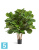 Фикус искусственный TREEZ Collection Лирата Гранд куст многоствольный 95h