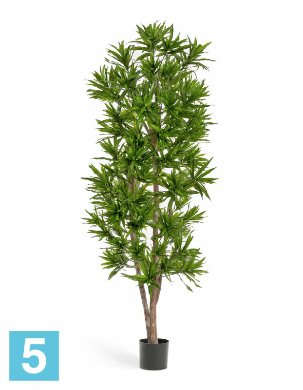Драцена Рефлекса искусственная TREEZ Collection 120h