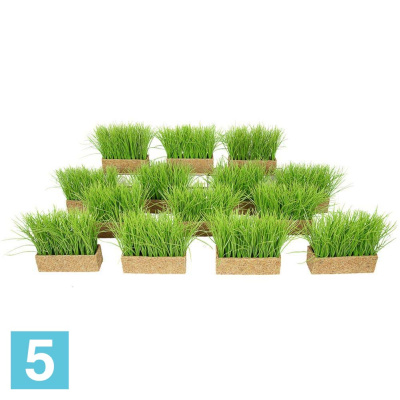 Трава Осока искусственная Alseed, h-18-20 см. в кокосовом боксе 25*8*8