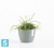 Настольное Кашпо Ecopots Stockholm, серо-голубое 16-d, 12-h