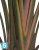 Искуственная стрелиция Traveller (Sensitive Botanic) TREEZ Collection 180h