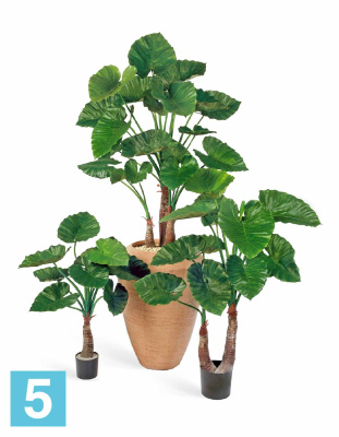 Алоказия Калидора искусственная TREEZ Collection 120h