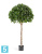 Лавр шар Максима искусственный TREEZ Collection 90d 170h