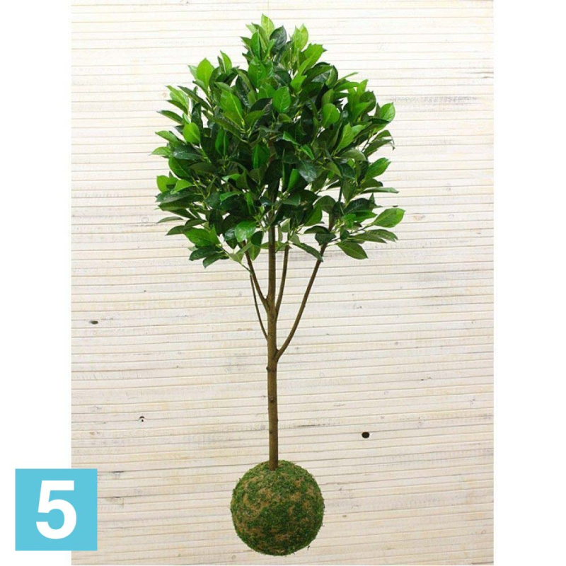 Кокедама искусственная Alseed, d-27 "Куст декорат.", h-150 см.