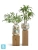 Кашпо TREEZ Effectory Savage Garden Design-ваза Wild, белое 43-d, 62-h