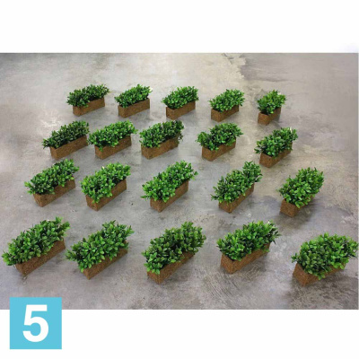 Черничник искусственный Alseed, h-10 см. в кокосовом боксе, 25*8*8