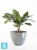 Напольное кашпо Ecopots Antwerp, серое 50-d, 40-h Напольное кашпо Ecopots Antwerp, серое 50-d, 40-h